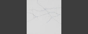 Image Title QM9803 CALACUTTA LAURENT. Size: 127" x 64" (all slab sizes) Thickness: 1-1/4" or 3/4" Finishes: Polished | Custom Leather Finish